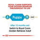 Royal Canin Breed Health Nutritiongolden Retriever Puppy Dry Dog Food - Wagr - The Smart Petcare Platform