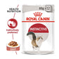Royal Canin Feline Health Nutrition Instinctive Adult Gravy Wet Cat Food-Pack of 12 - Wagr - The Smart Petcare Platform