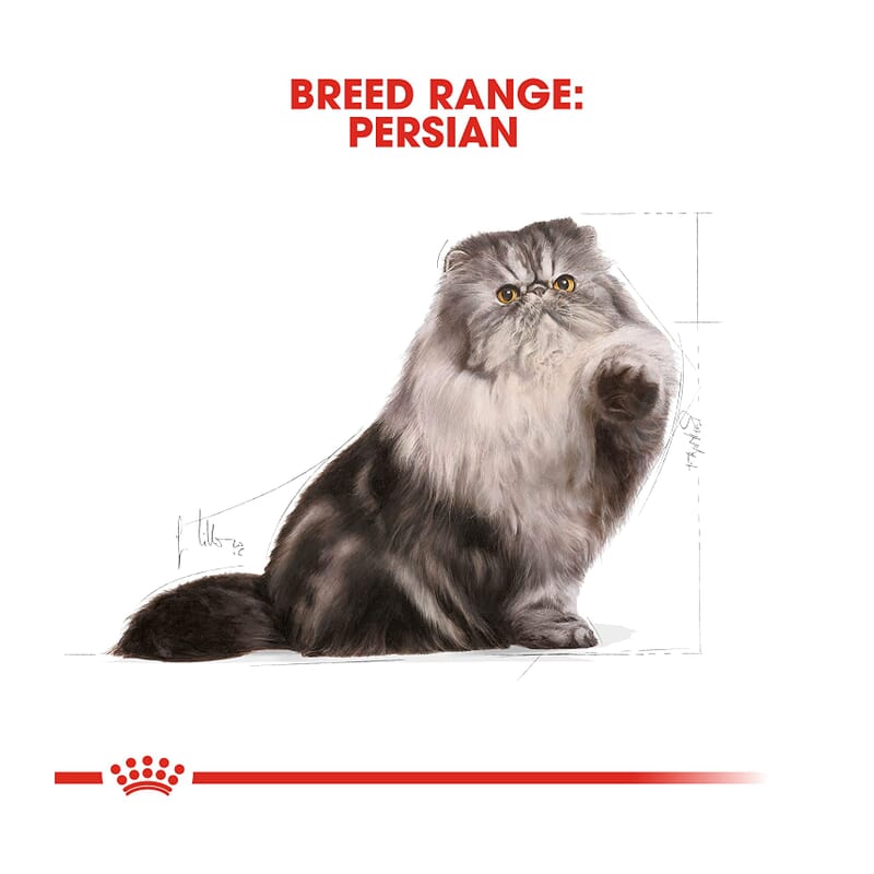 Royal Canin Feline Health Nutrition Persian Adult Breed Dry Cat Food - Wagr - The Smart Petcare Platform