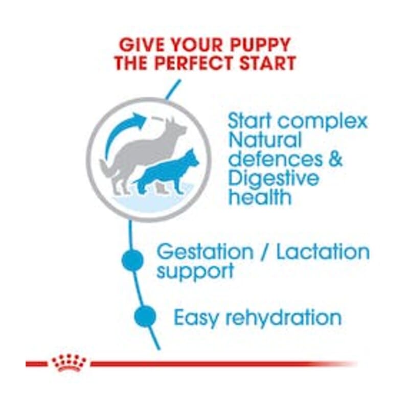 Royal Canin Maxi Starter, Dry Dog Food, 4kg - Wagr Petcare