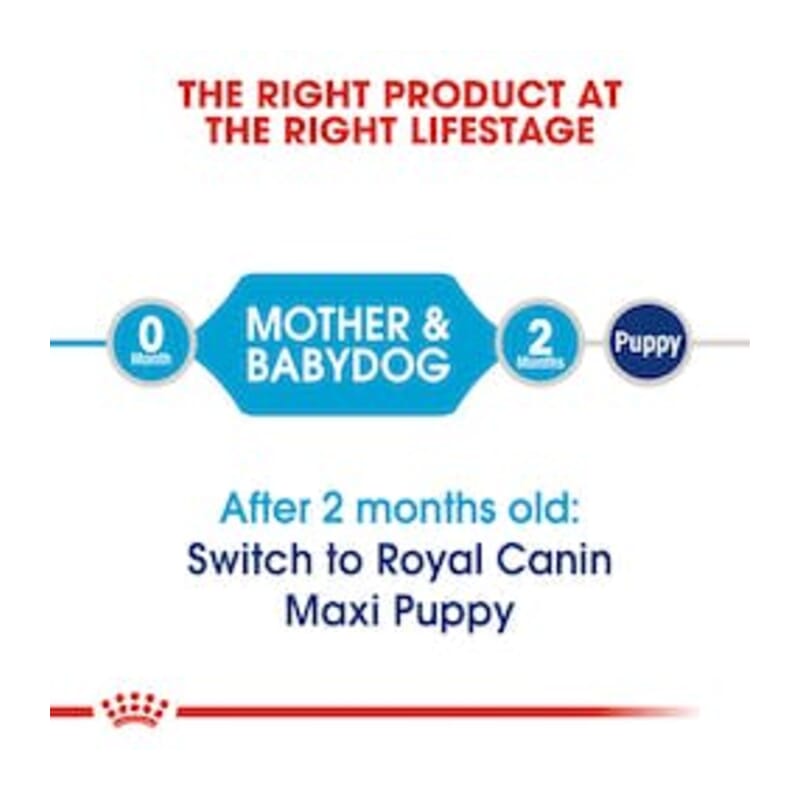 Royal Canin Maxi Starter, Dry Dog Food, 4kg - Wagr Petcare
