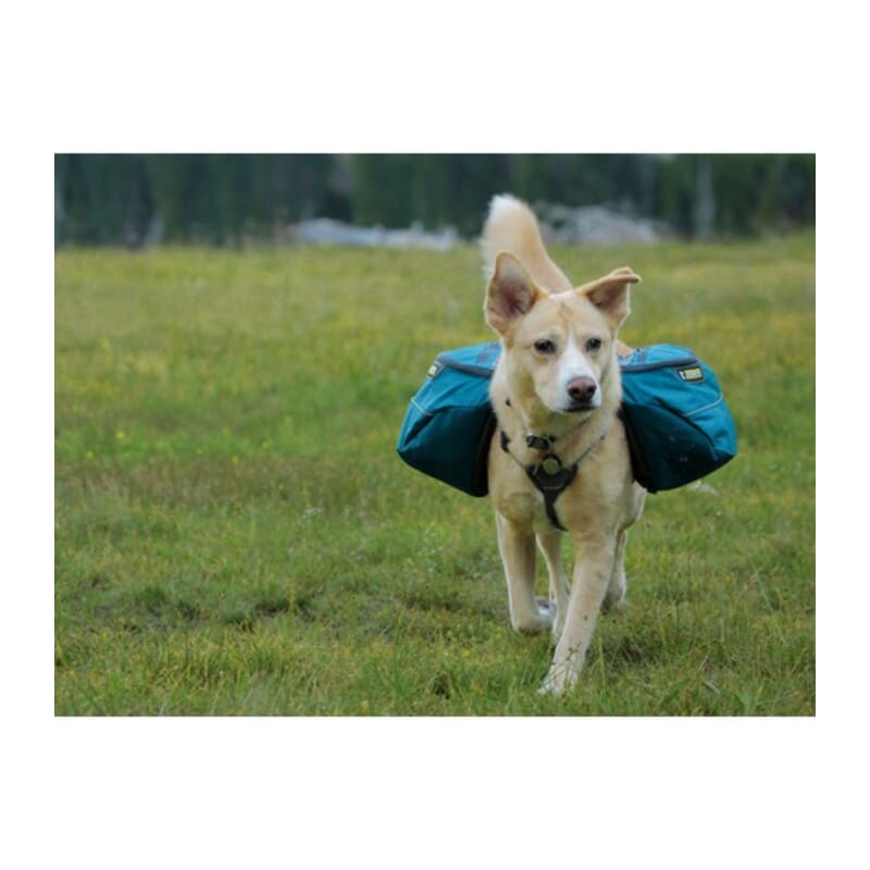 Ruffwear Dog Approach Pack - Wagr - The Smart Petcare Platform