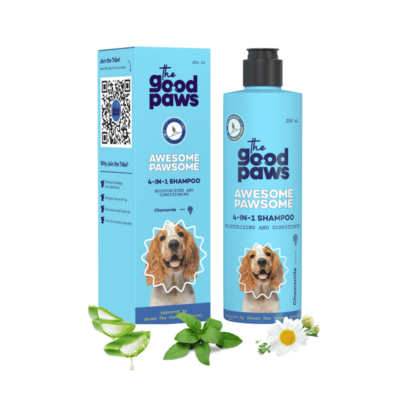 The Good Paws Awesome Pawsome 4-in-1 Dog Shampoo: Moisturizing, Deodorizing with Olive & Wheatgerm Oil - Chamomile 250ml - Wagr Petcare