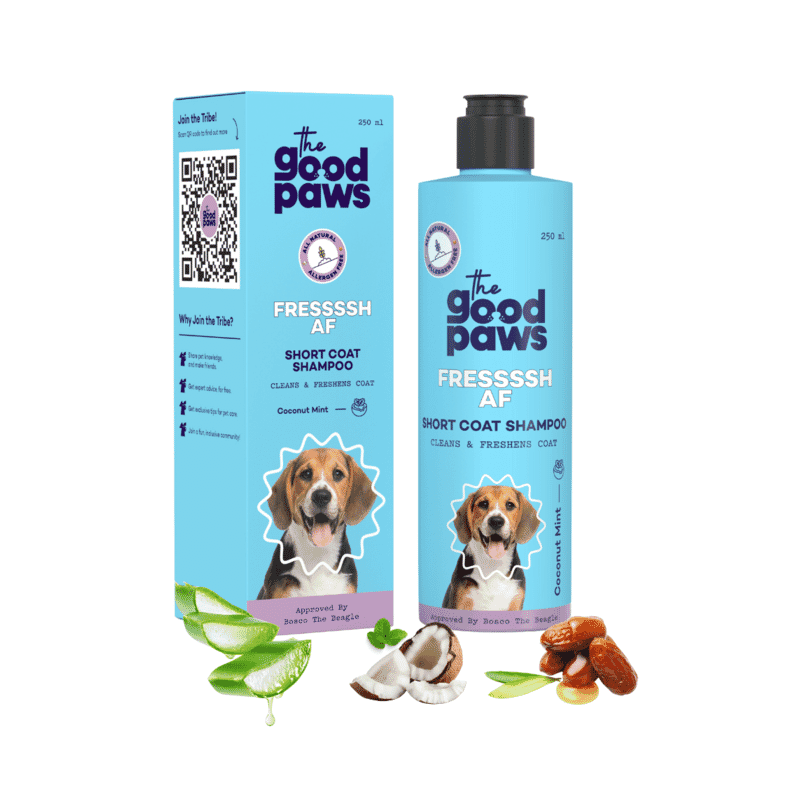 The Good Paws FRESSSSH AF Short Coat Smoothing Dog & Cat Shampoo with Jojoba & Castor Oil - Coconut Mint 250ml - Wagr Petcare