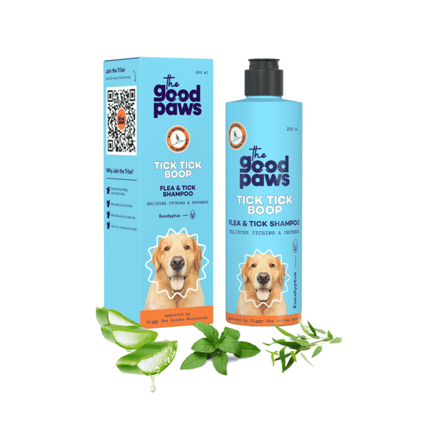 Paws and pals shop flea and tick shampoo