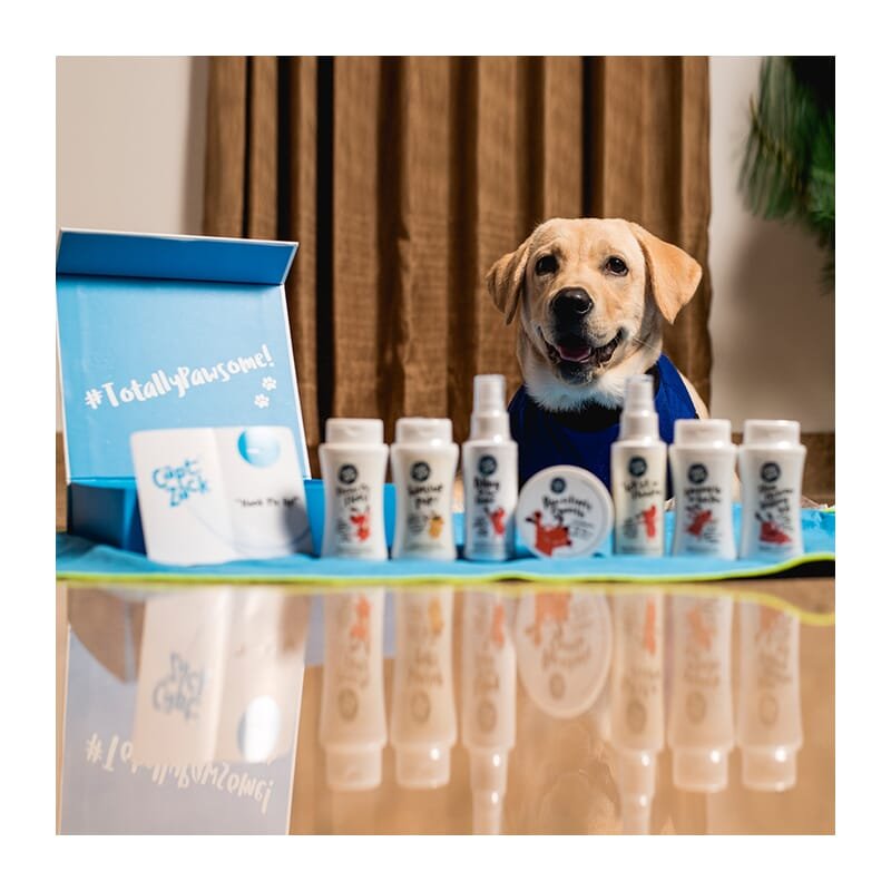 The Miniature Groom Box, Ultimate Head-to-Paw Groom-Kit for Your Pup - Wagr - The Smart Petcare Platform