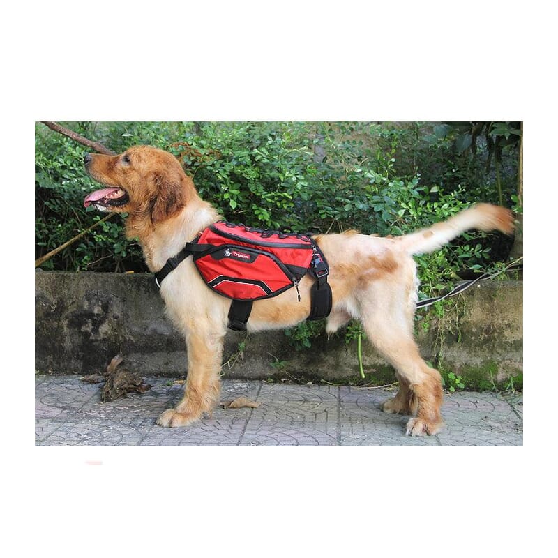 Truelove Backpack Harness for Dogs - Wagr Petcare