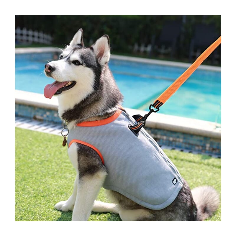 Truelove Cooling Vest for Dogs - Wagr Petcare