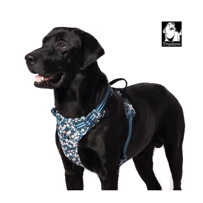 Truelove Floral No Pull Pet Harness for Dogs - Wagr Petcare