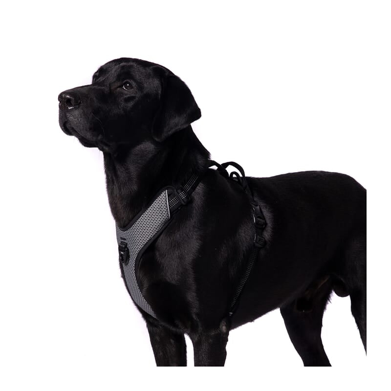 Truelove Harness With Reflective Fabric for Dogs - Wagr Petcare