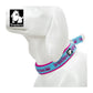 Truelove Neo-padded P-chain Collar for Dogs - Wagr Petcare