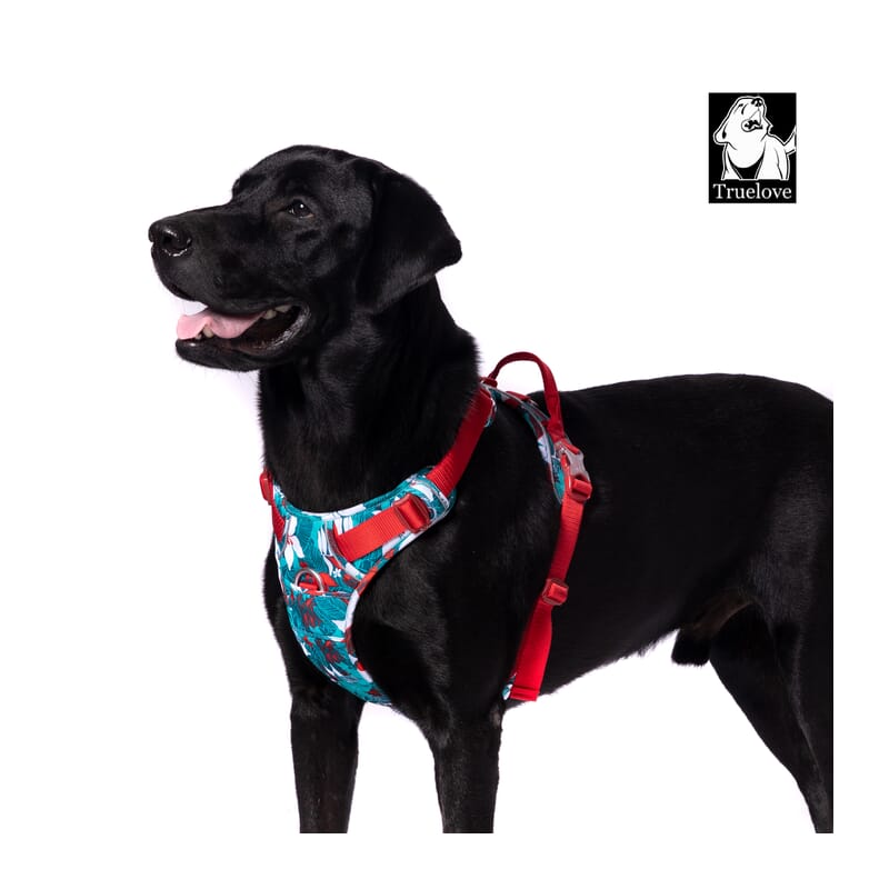 Truelove No-pull Special Edition Harness for Dogs - Wagr Petcare