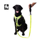 Truelove Nylon Leash for Dogs - Wagr Petcare