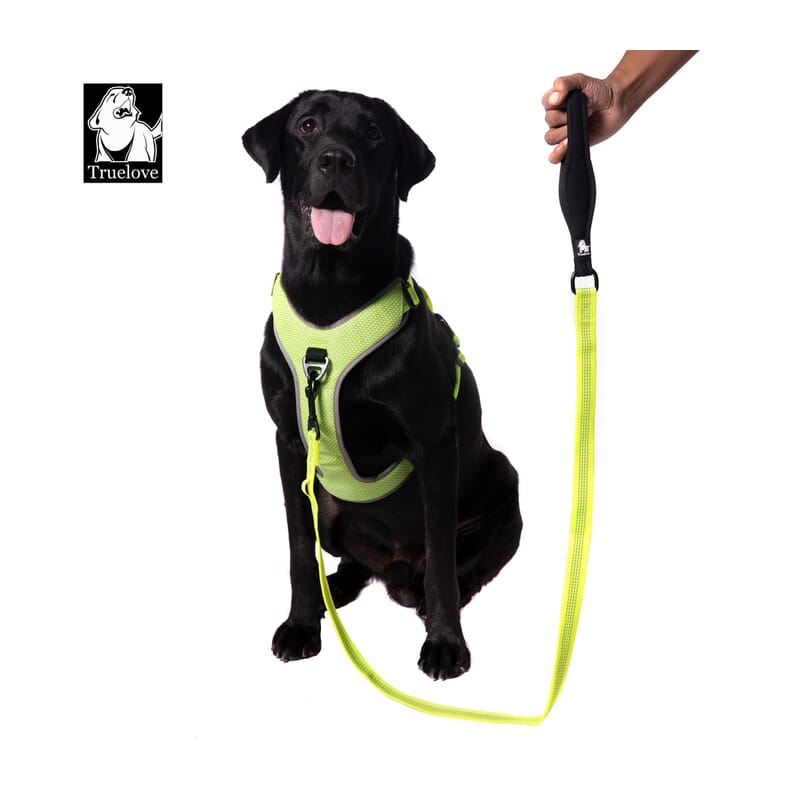 Truelove Nylon Leash for Dogs - Wagr Petcare