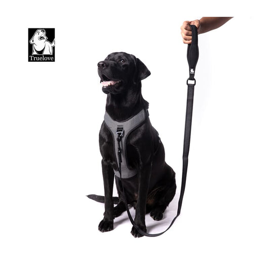Truelove Nylon Leash for Dogs - Wagr Petcare