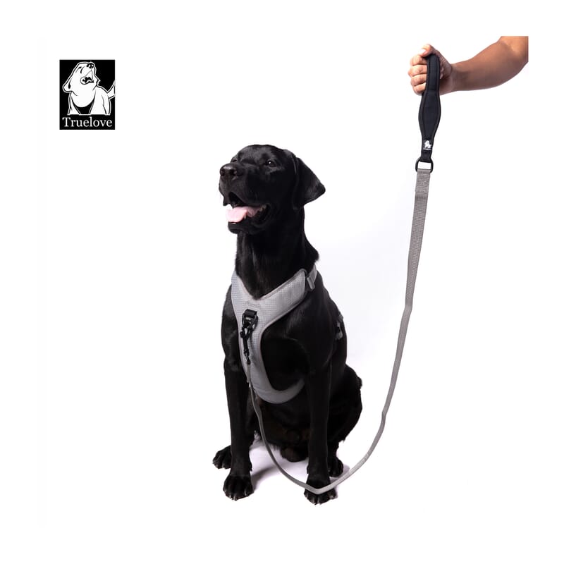 Truelove Nylon Leash for Dogs - Wagr Petcare