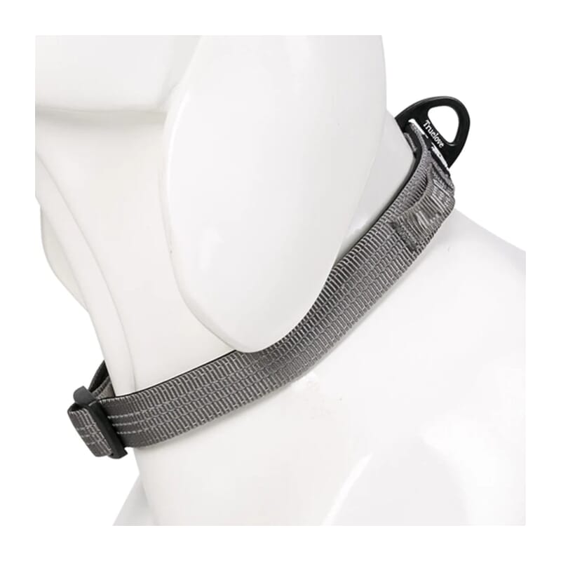 Truelove Padded Collar for Dogs - Wagr Petcare
