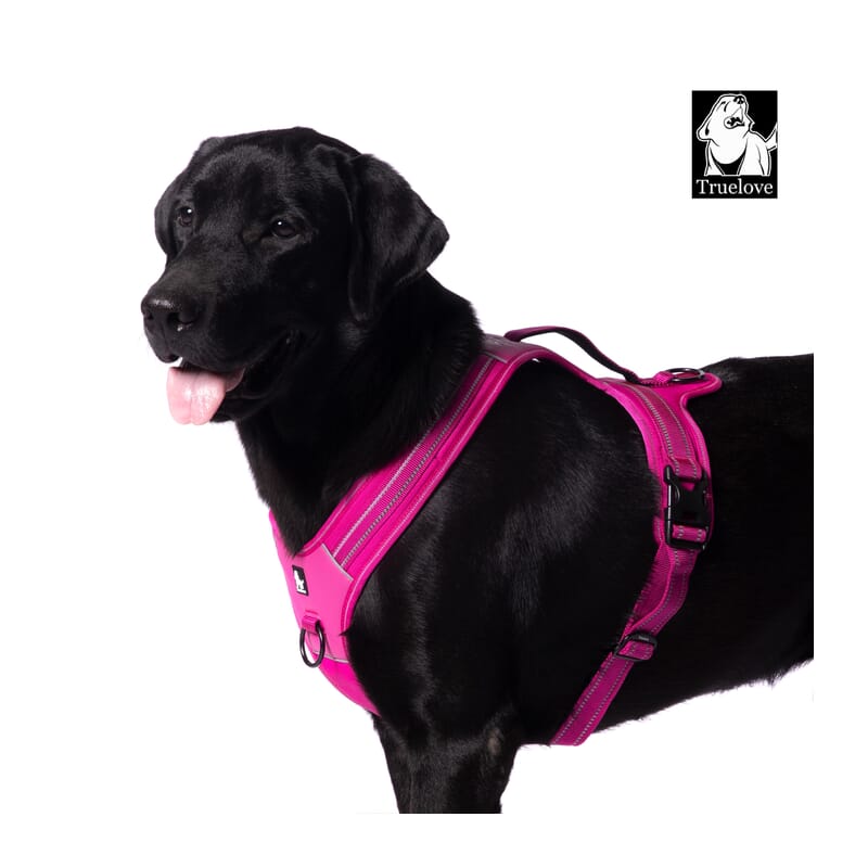 Truelove Sports Harness for Dogs - Wagr Petcare