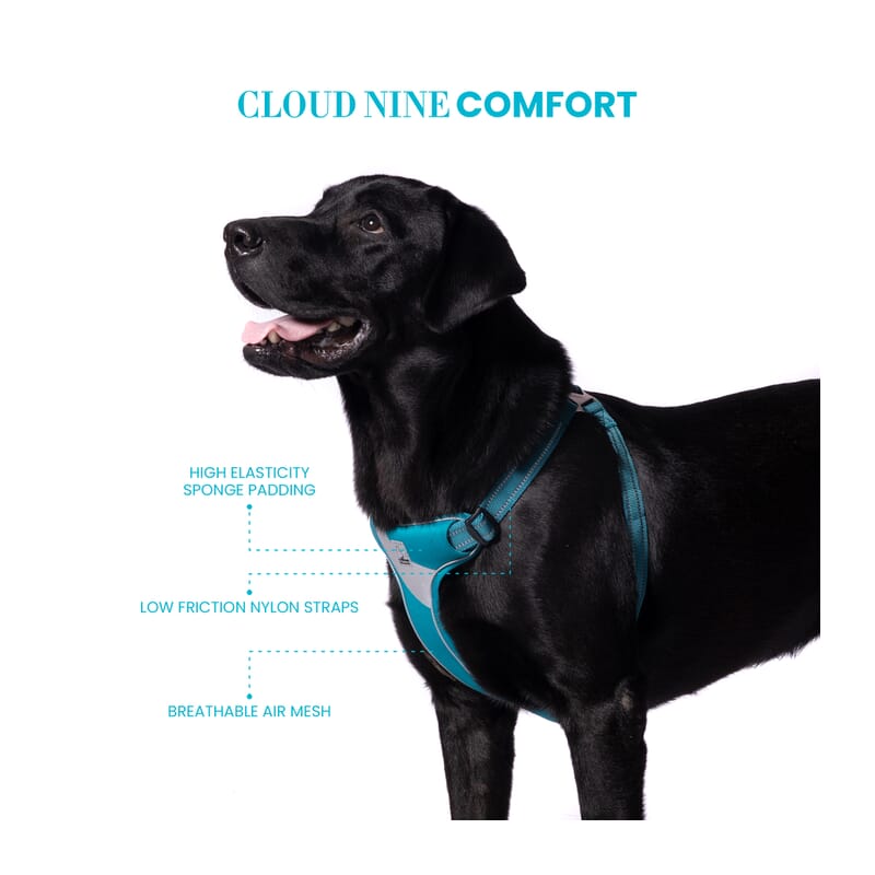 3m petcare sales