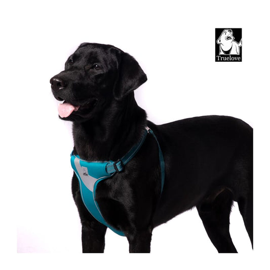 Truelove Step-in Harness With 3M for Dogs - Wagr Petcare