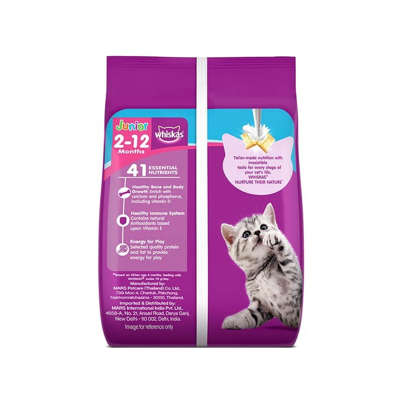 At what age can kittens start eating dry food Clearance